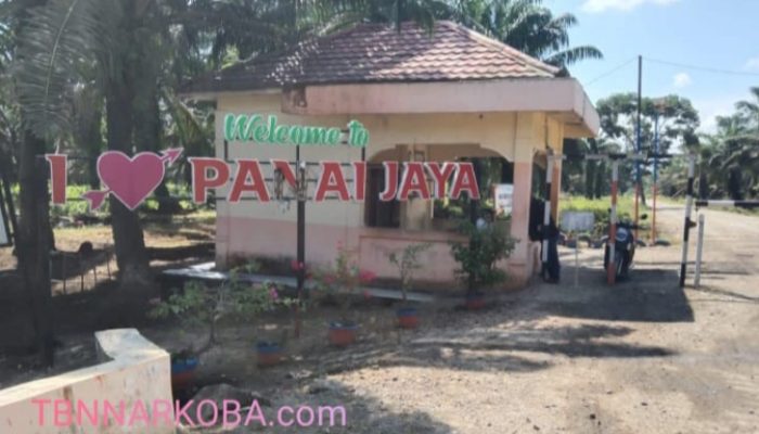 Ambil Tanah untuk Polibag, Istri Danton Malah “Kena Razia” di Kebun PTPN Panai Jaya